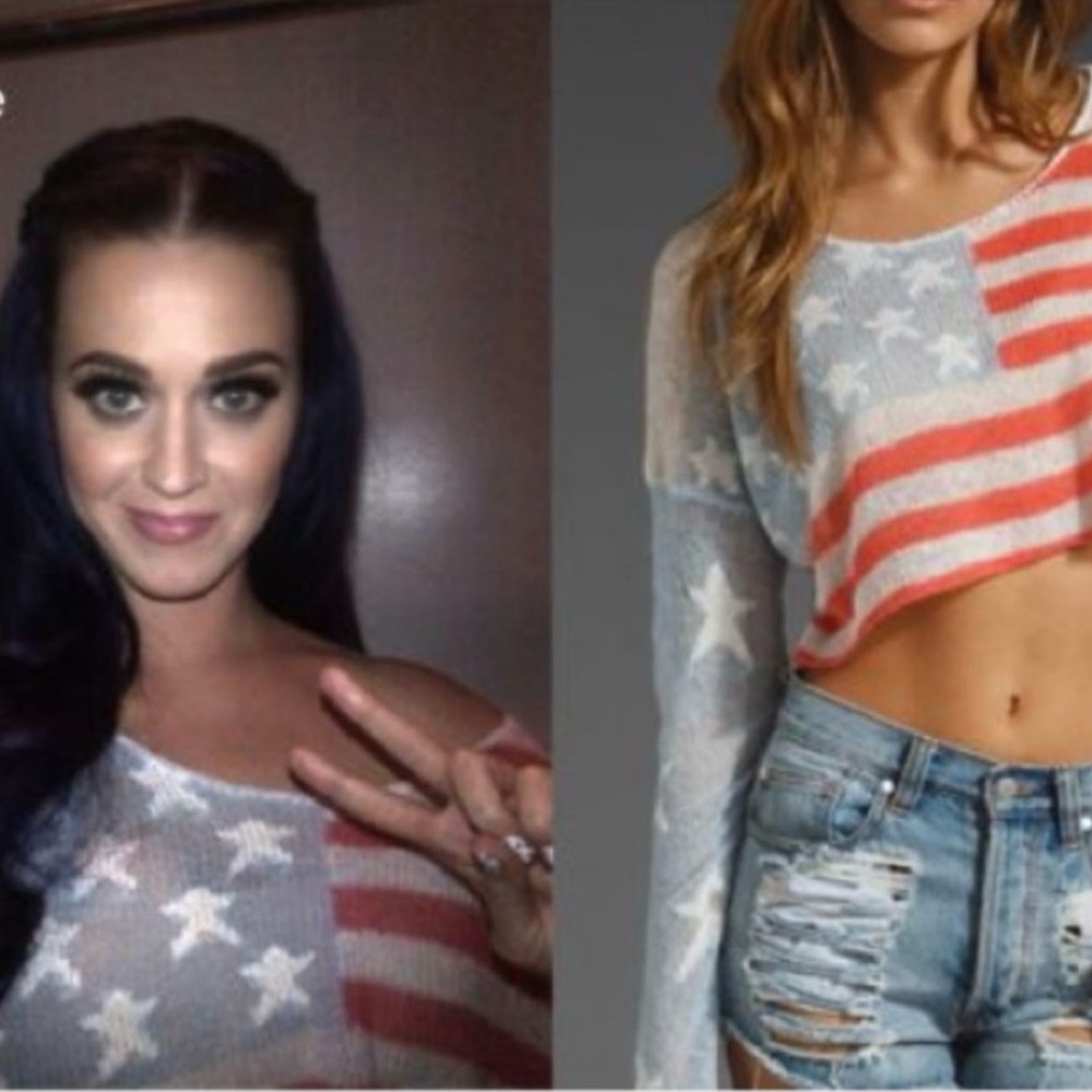NWT American flag cropped sweater